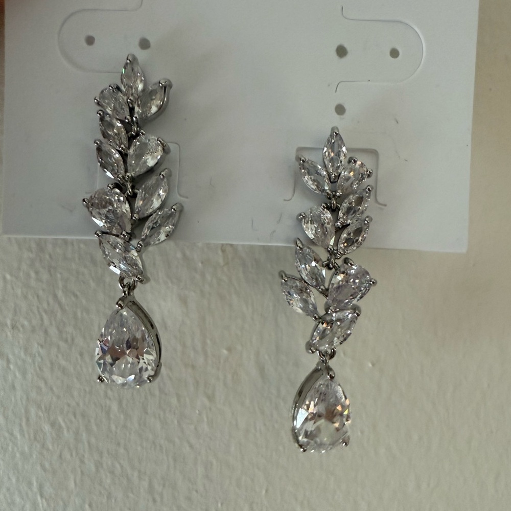 Elegant Silver Drop Earrings